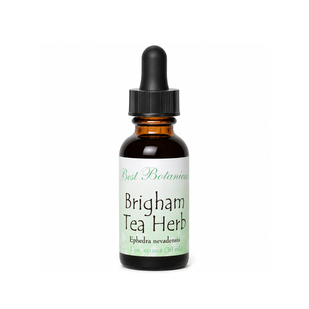 Brigham Tea Herb Extract