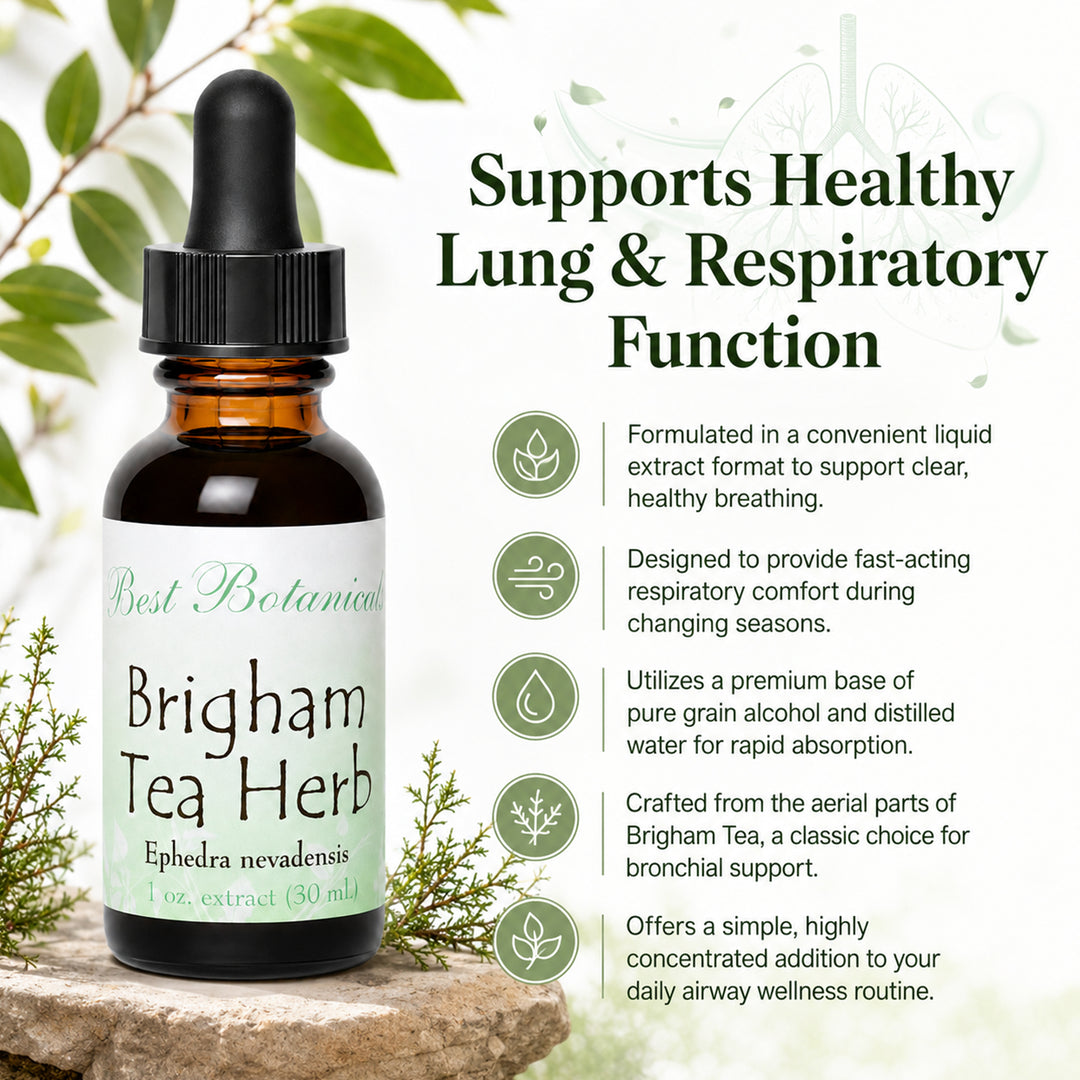 Brigham Tea Herb Extract
