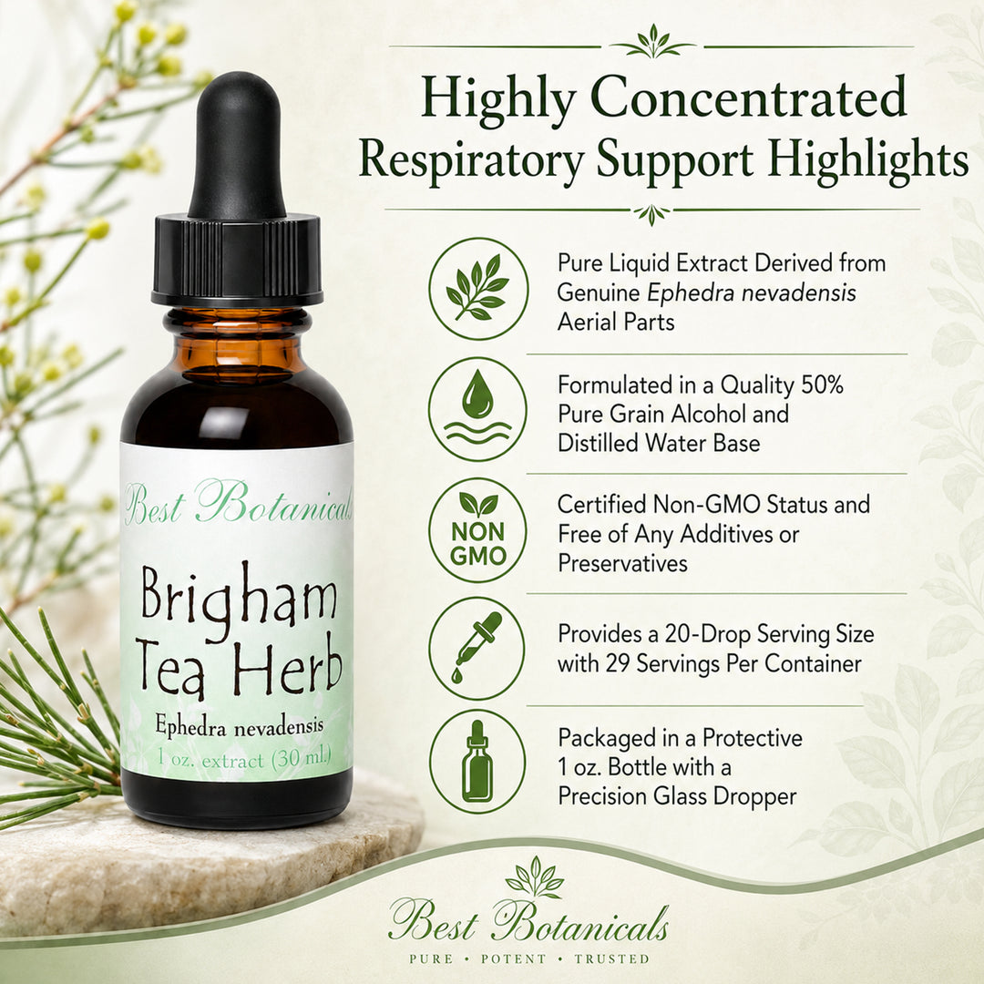 Brigham Tea Herb Extract