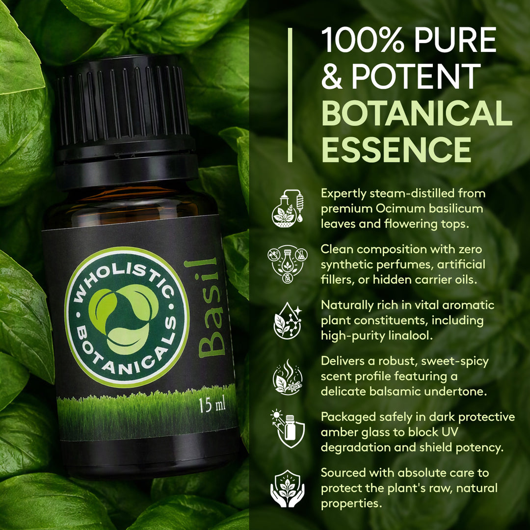 Basil Essential Oil