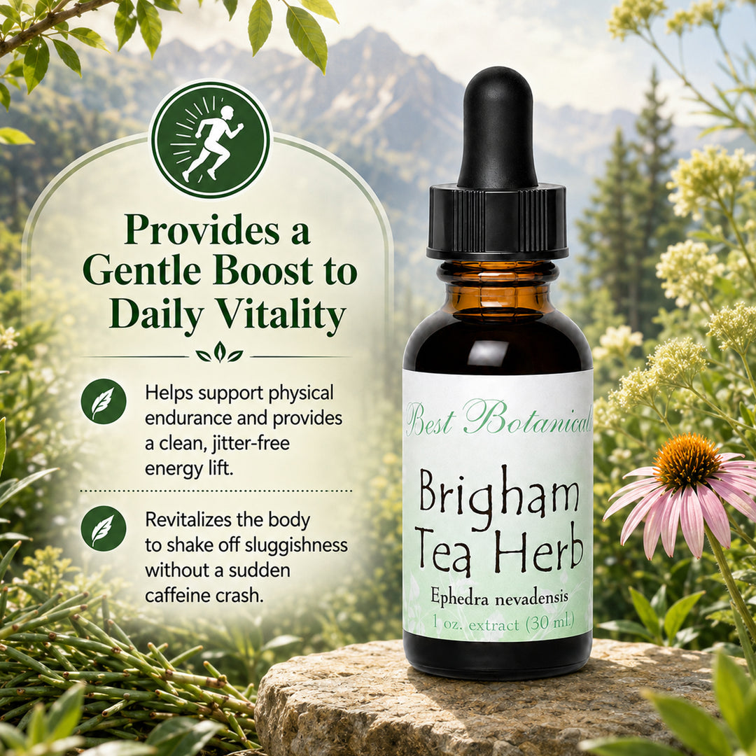 Brigham Tea Herb Extract
