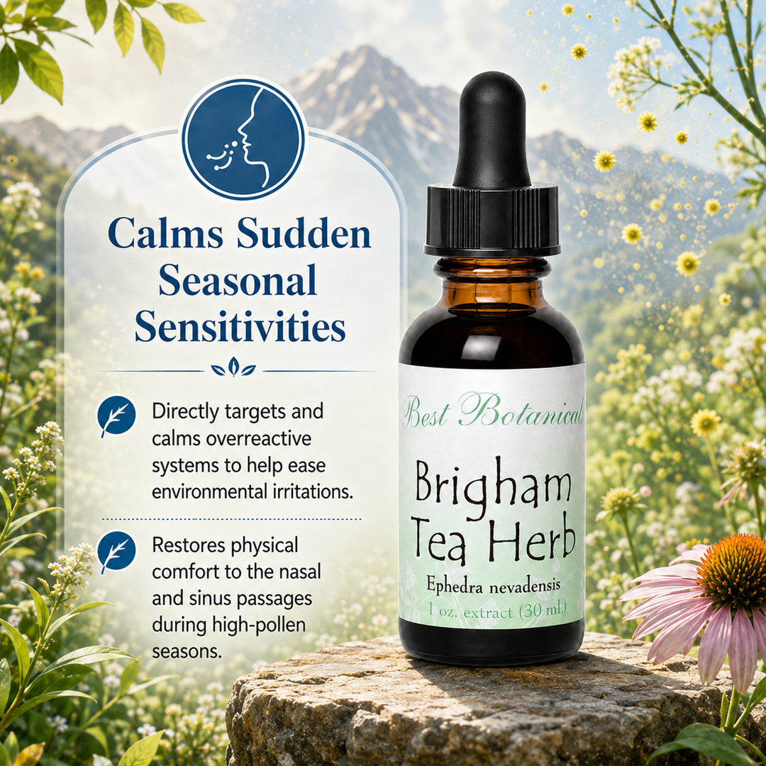 Brigham Tea Herb Extract