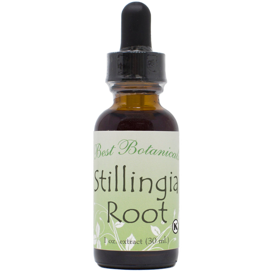 Stillingia Root Extract