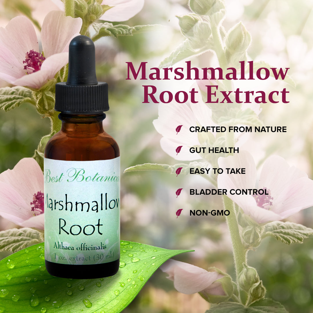 Marshmallow Root Extract