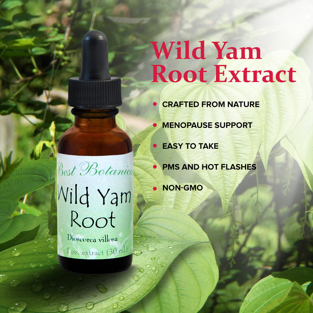 Wild Yam Root Extract