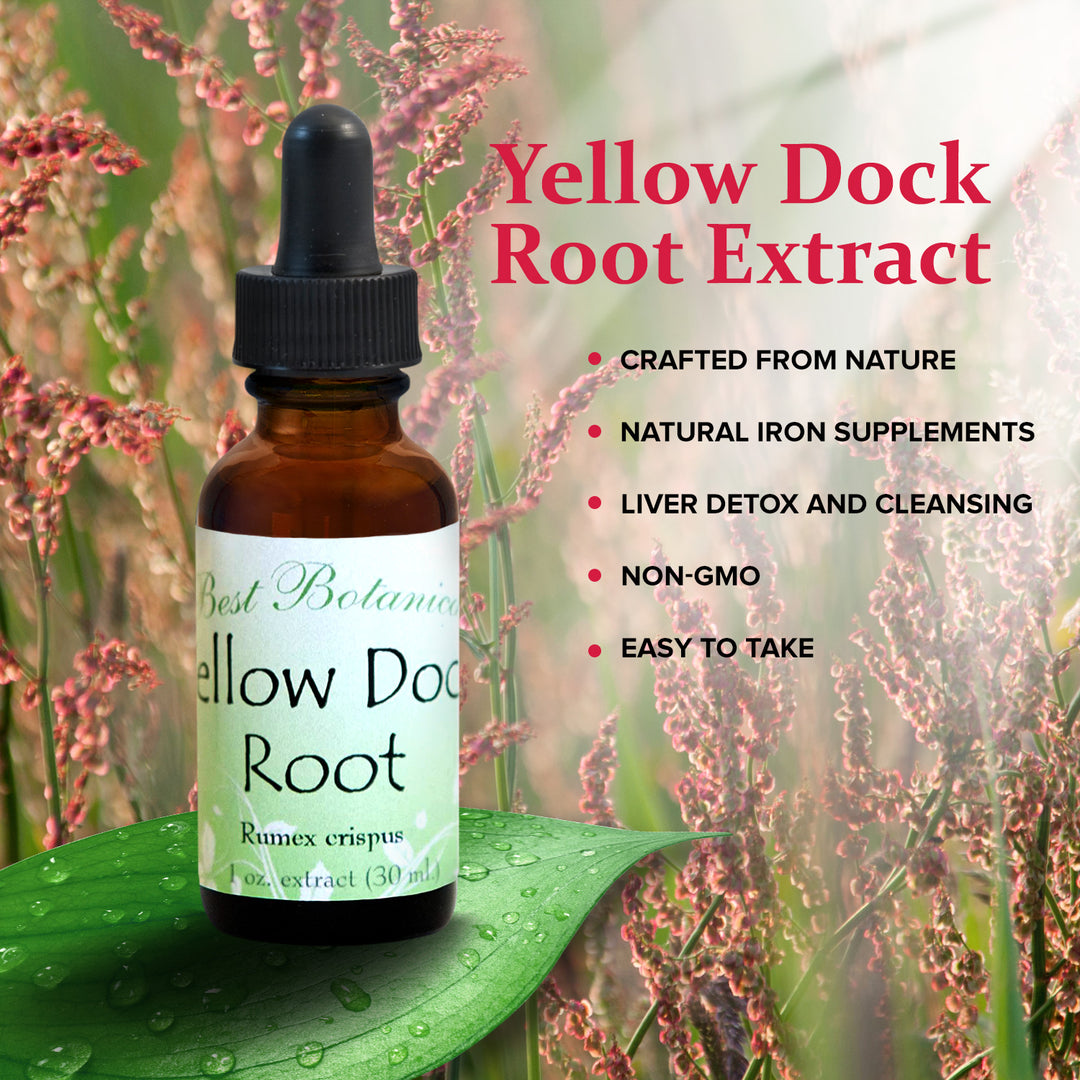 Yellow Dock Root Extract