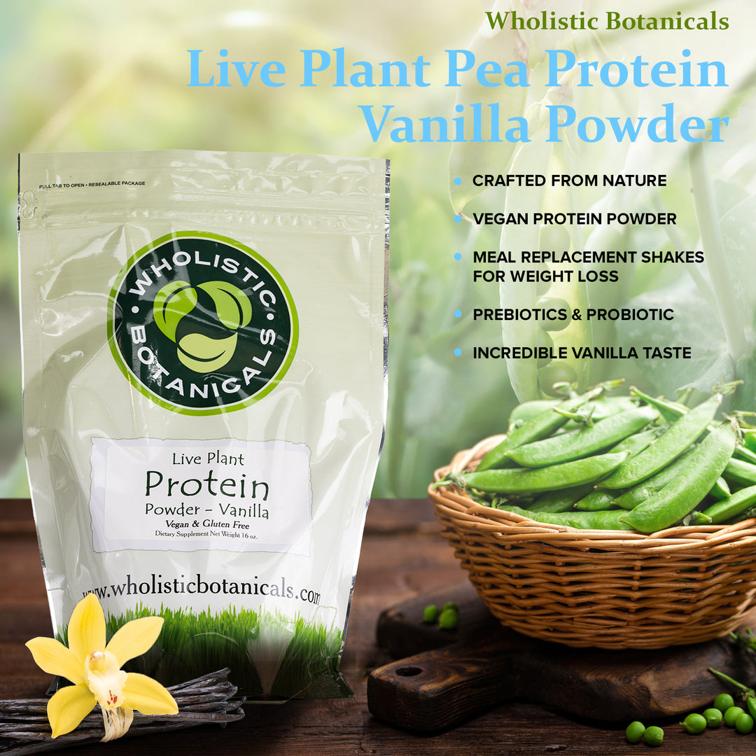 Live Plant Protein Powder - Vanilla