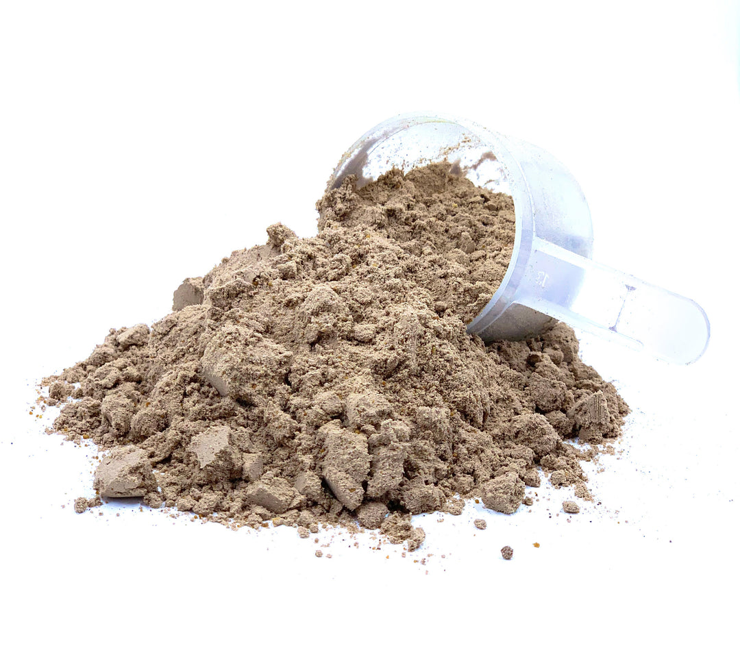 Live Plant Protein Powder - Chocolate