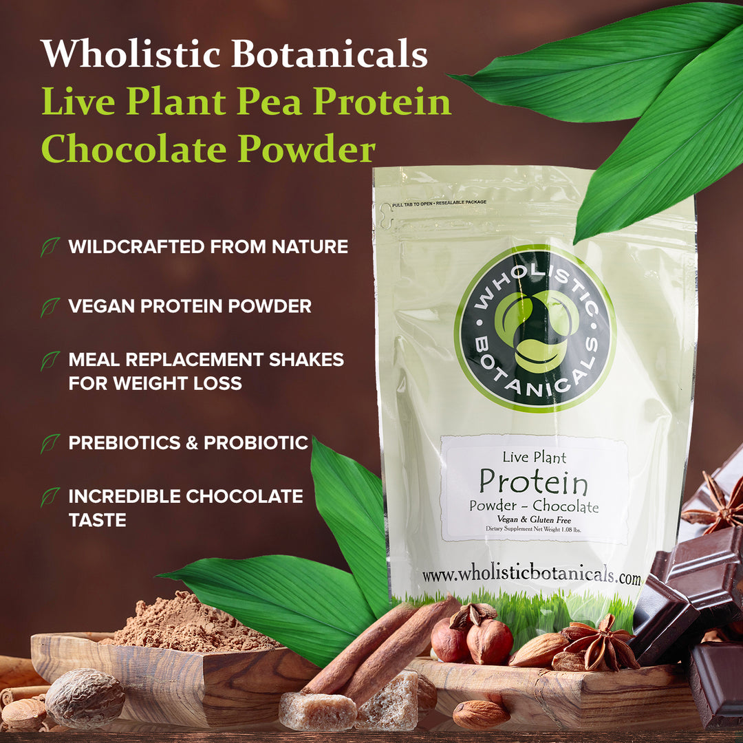 Live Plant Protein Powder - Chocolate