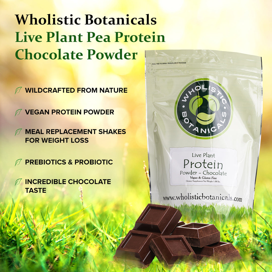Live Plant Protein Powder - Chocolate