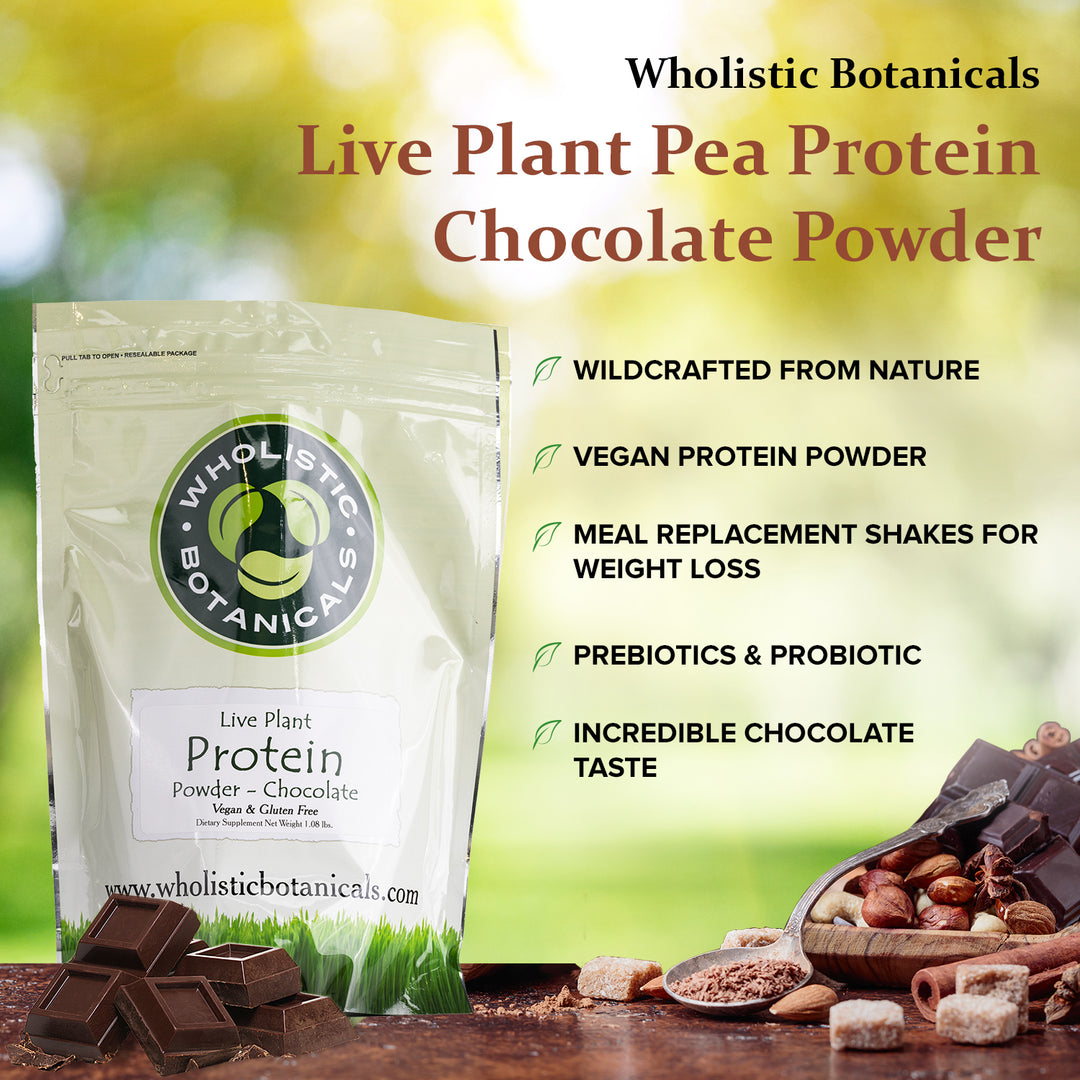 Live Plant Protein Powder - Chocolate