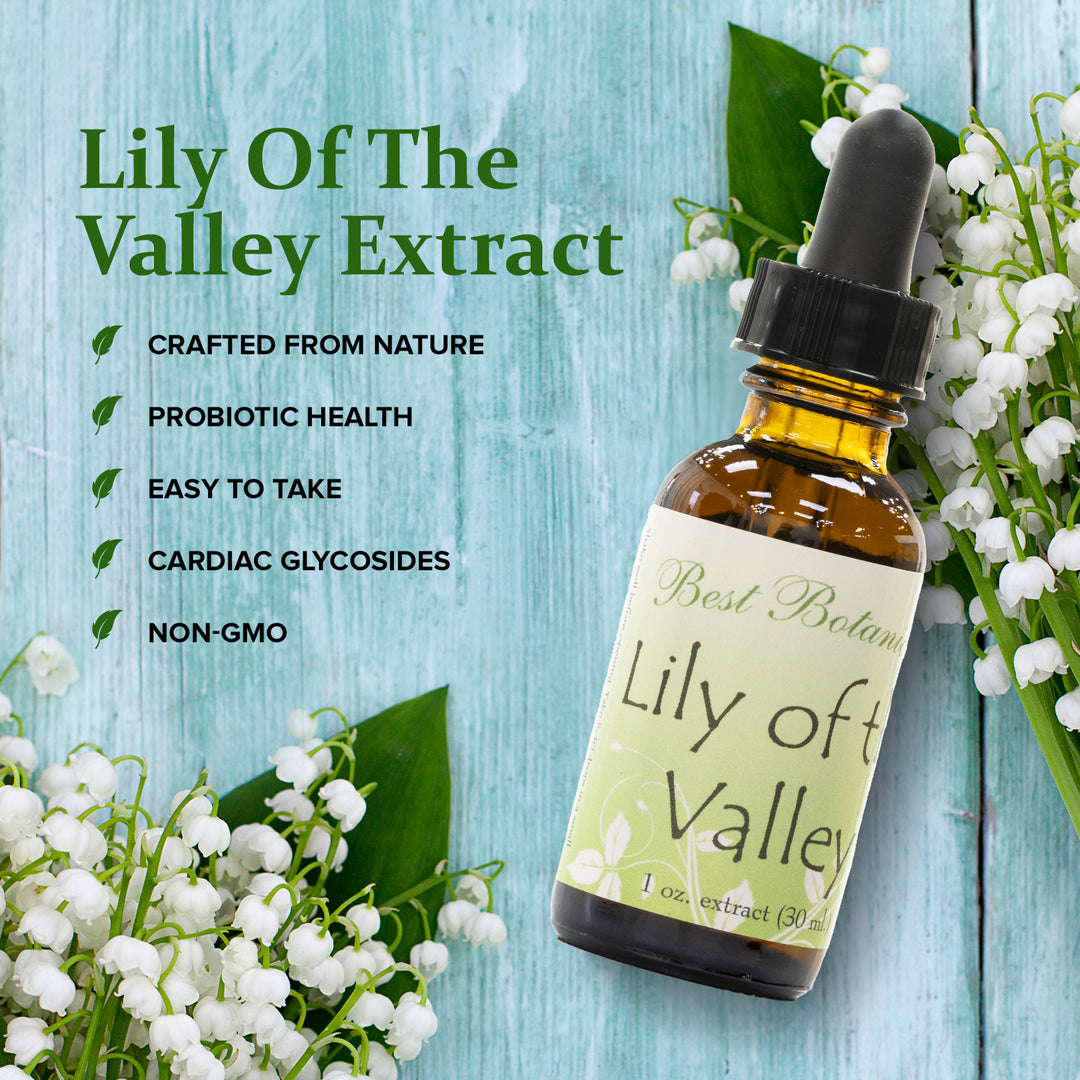 Lily Of The Valley Extract