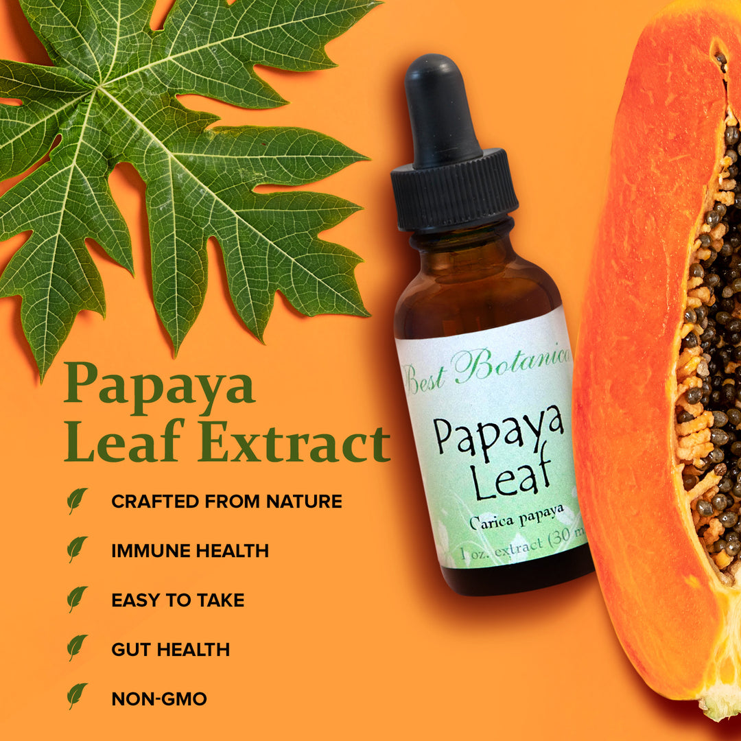 Papaya Leaf Extract