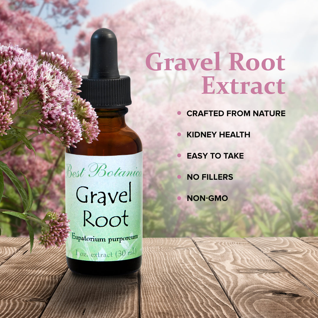 Gravel Root Extract