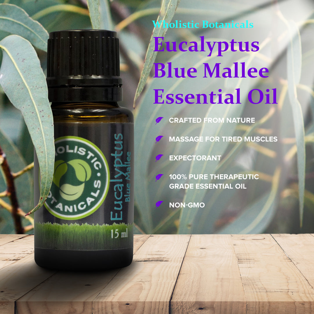 Eucalyptus Blue Mallee Essential Oil