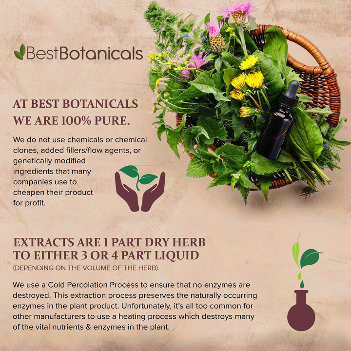 Best Botanicals