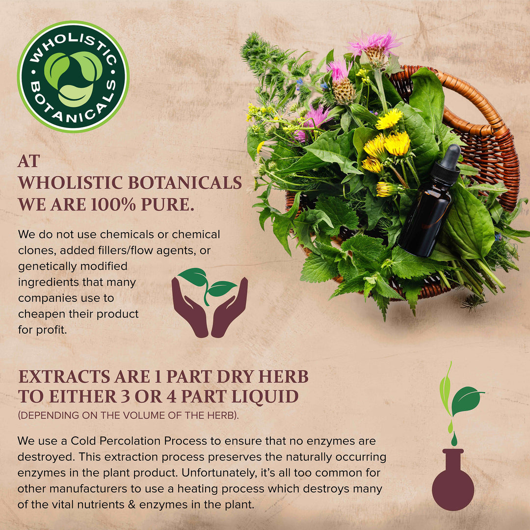 Celery Seed Essential Oil